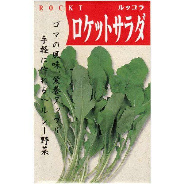 在来固定種野菜の種「ルッコラ〔ロケットサラダ〕」3ml〔約400粒〕畑懐〔はふう〕