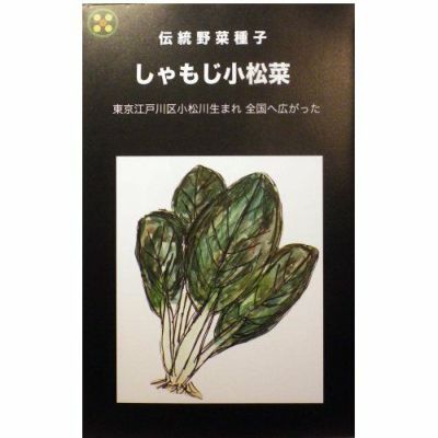 【国内採種/固定種】しゃもじ小松菜の種5ml(約900粒）　畑懐〔はふう〕の種【メール便可】