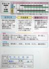 在来固定種野菜の種「中葉春菊」20ml〔約4600粒〕畑懐〔はふう〕