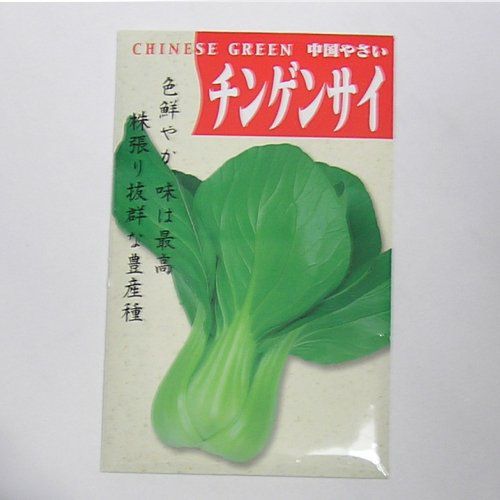 在来固定種野菜の種「チンゲンサイ」8ml〔約2000粒〕畑懐〔はふう〕