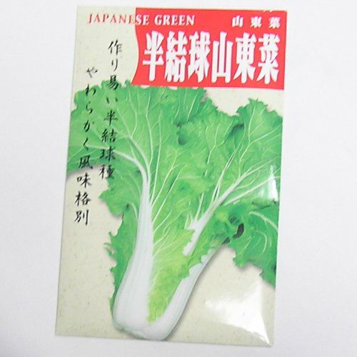 在来固定種野菜の種「半結球山東菜〔さんとうさい〕」8ml〔約2000粒〕畑懐〔はふう〕