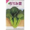 在来固定種野菜の種「ルッコラ〔ロケットサラダ〕」3ml〔約400粒〕畑懐〔はふう〕