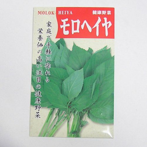 在来固定種野菜の種「モロヘイヤ」1.5ml〔約600粒〕畑懐〔はふう〕