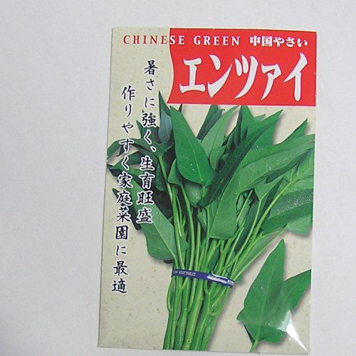 在来固定種野菜の種「エンサイ(空心菜)」10ml〔約90粒〕畑懐〔はふう〕