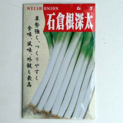 【固定種】石倉根深太ネギの種5ml(約900粒）　畑懐〔はふう〕の種【メール便可】