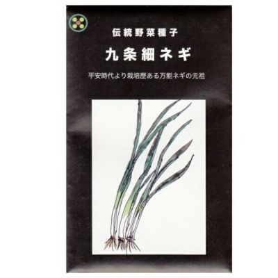 【国内採種/固定種】九条細ネギ(葉ねぎ)の種7ml(約1100粒）　畑懐〔はふう〕の種【メール便可】