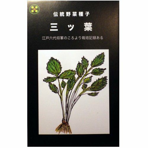 在来固定種野菜の種「三ツ葉(みつば)」8ml約1500粒畑懐〔はふう〕