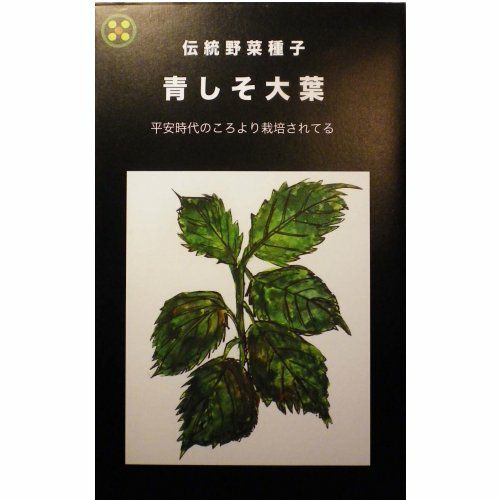 在来固定種野菜の種「大葉(青しそ)」5ml約2500粒畑懐〔はふう〕