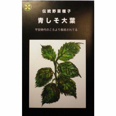 【固定種】青しそ大葉5ml約2500粒　畑懐〔はふう〕の種【メール便可】