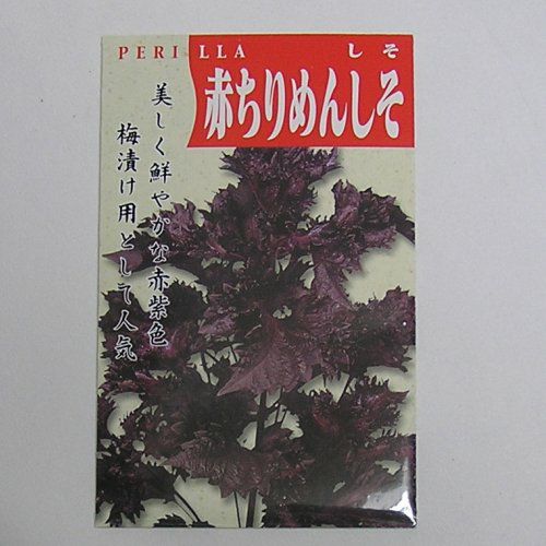 在来固定種野菜の種「本紅赤ちりめんしそ)」5ml約3000粒畑懐〔はふう〕