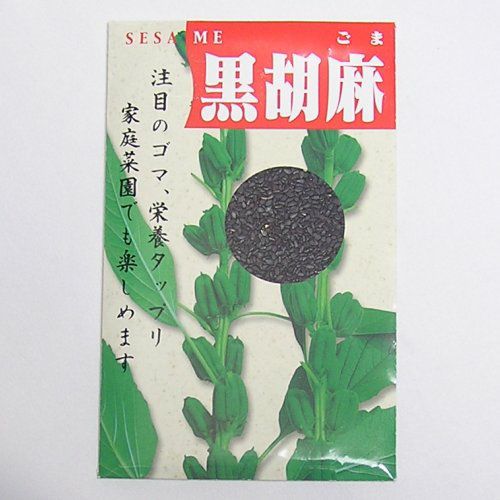 在来固定種野菜の種「黒ごま」10ml〔約2000粒〕畑懐〔はふう〕