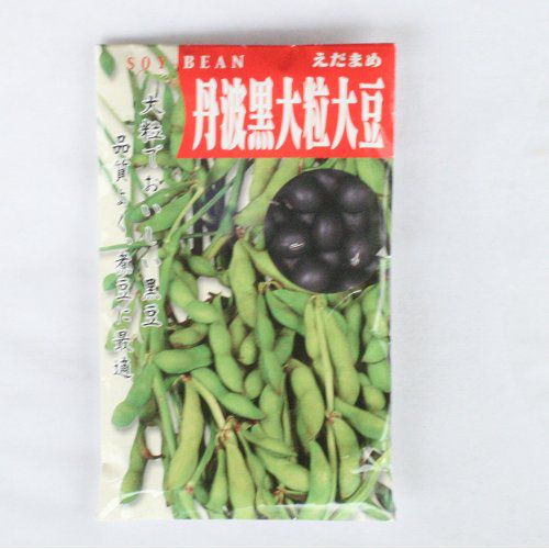 在来固定種野菜の種「丹波黒大粒大豆」60ml〔約60粒〕畑懐〔はふう〕