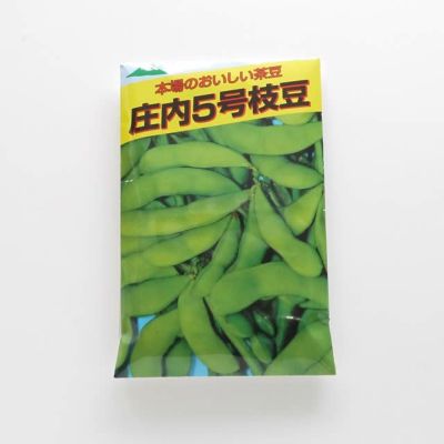 【国内採種/固定種】茶豆５号枝豆〔だだちゃ豆系〕30ml約55粒　畑懐〔はふう〕の種【メール便可】