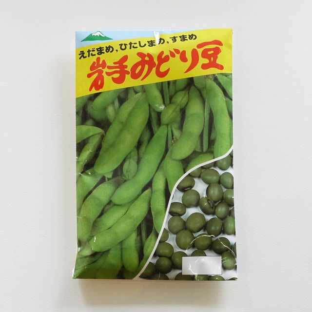 今が蒔きどき!在来固定種野菜の種「岩手みどり豆」50ml〔約130粒〕畑懐〔はふう〕
