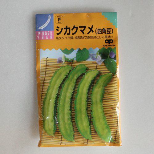 今が蒔きどき!在来固定種野菜の種「四角豆プリズン」20ml〔約50粒〕畑懐〔はふう〕