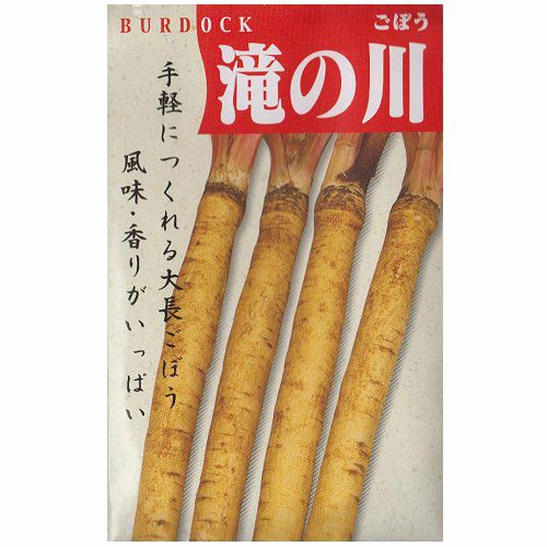 在来固定種野菜の種「大浦太ごぼう」10ml〔約450粒〕畑懐〔はふう〕