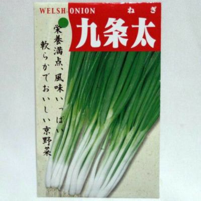 在来種/固定種/野菜のタネ「鷹の爪唐辛子0.5ml約40粒」畑懐〔はふう