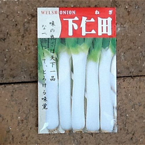 在来固定種野菜の種「石倉一本太ねぎ」8ml約1400粒畑懐〔はふう〕