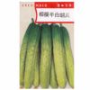 【満月ポイント10倍】在来種/固定種/野菜の種「相模半白胡瓜」2ml約40粒/畑懐〔はふう〕