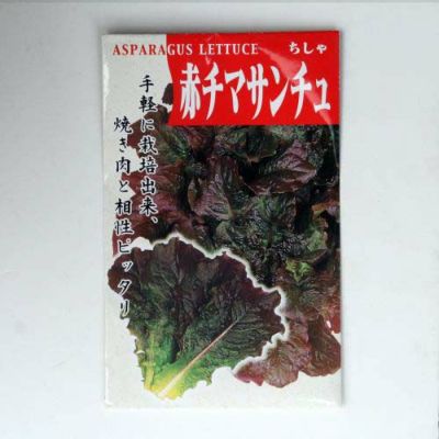 【固定種】赤チマサンチュの種1ml(約500粒）　畑懐〔はふう〕の種【メール便可】