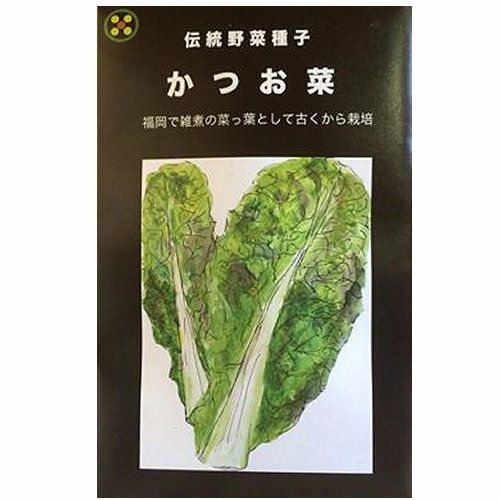 【秋蒔き野菜】在来固定種野菜の種「かつお菜」8ml〔約2000粒〕畑懐〔はふう〕