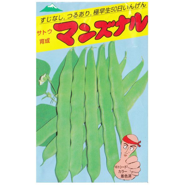 在来種/固定種/野菜の種「マンズナルいんげん」40ml約40粒/畑懐〔はふう〕