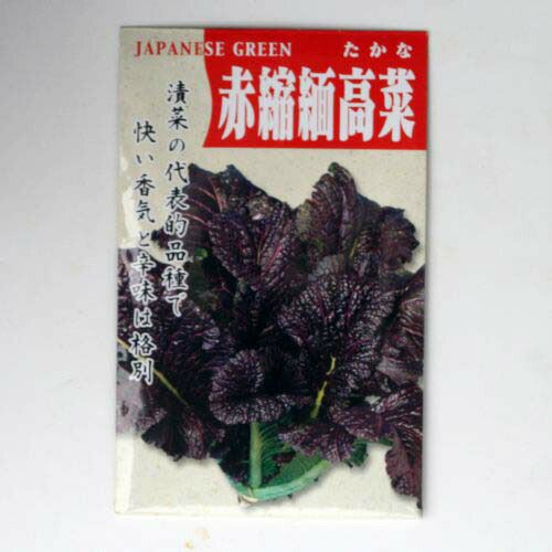 【秋蒔き野菜】在来固定種野菜の種「赤ちりめん高菜」5ml〔約1875粒〕畑懐〔はふう〕