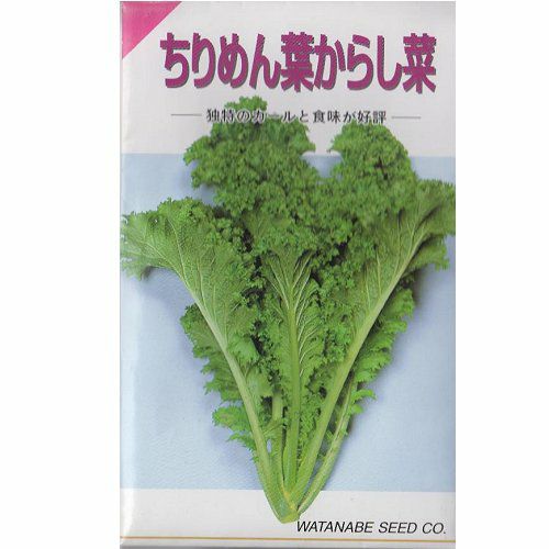 【秋蒔き野菜】在来固定種野菜の種「ちりめん葉からし菜」8ml〔約2000粒〕畑懐〔はふう〕