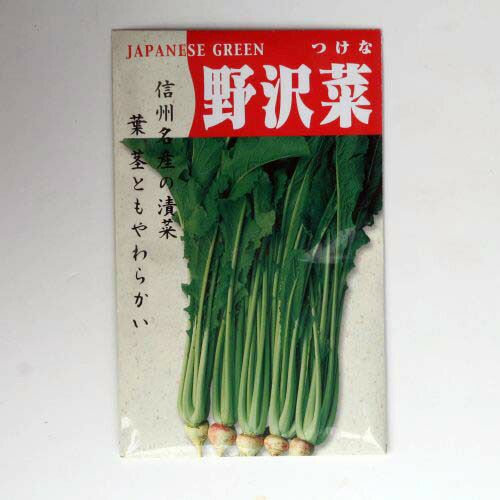 在来種 固定種 野菜のタネ 野沢菜5ml 約700粒 畑懐 はふう の種 メール便可