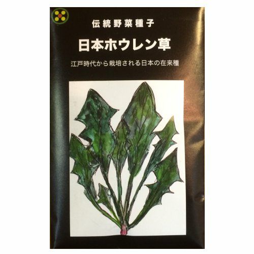 在来固定種野菜の種「日本ほうれん草」80ml〔約2400粒〕畑懐〔はふう〕