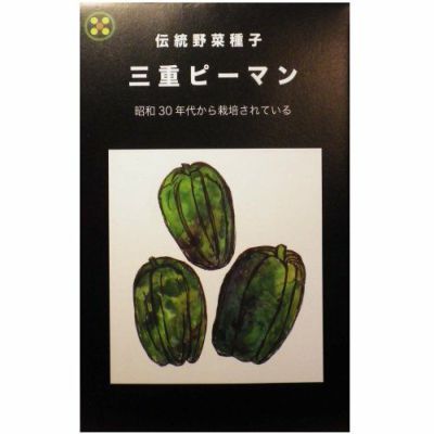 在来種/固定種/野菜のタネ「鷹の爪唐辛子0.5ml約40粒」畑懐〔はふう