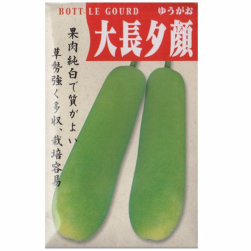 在来固定種野菜の種「大長夕顔」10ml〔約25粒〕畑懐〔はふう〕