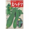 在来固定種野菜の種「太へちま」10ml〔約25粒〕畑懐〔はふう〕