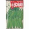 在来固定種野菜の種「赤花鈴なり砂糖絹さやえんどう」20ml〔約85粒〕畑懐〔はふう〕