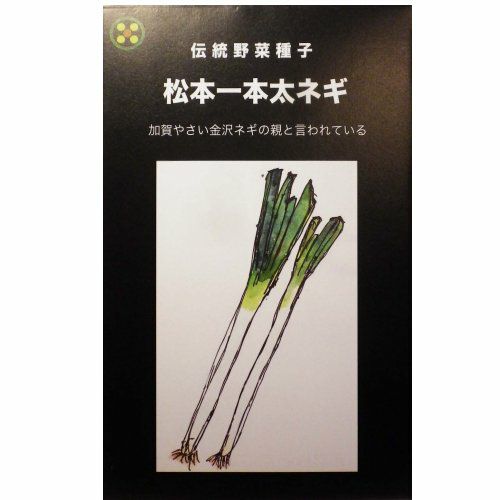 在来固定種野菜の種「石倉一本太ねぎ」8ml約1400粒畑懐〔はふう〕