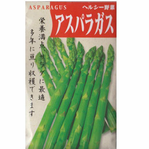 在来固定種野菜の種「コーネル619セロリ」1ml〔約1300粒〕畑懐〔はふう〕