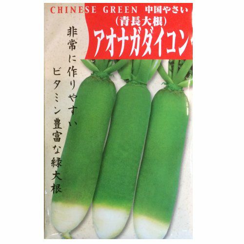 【秋蒔き野菜】在来固定種野菜の種「打木源助大根」13ml〔約580粒〕畑懐〔はふう〕