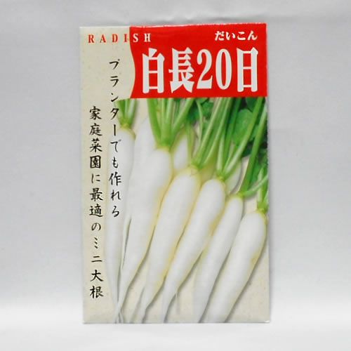 在来種/固定種/野菜のタネ「白長20日大根(ミニ大根)5ml(約300粒）」畑