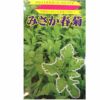 在来固定種野菜の種「中葉春菊」20ml〔約4600粒〕畑懐〔はふう〕