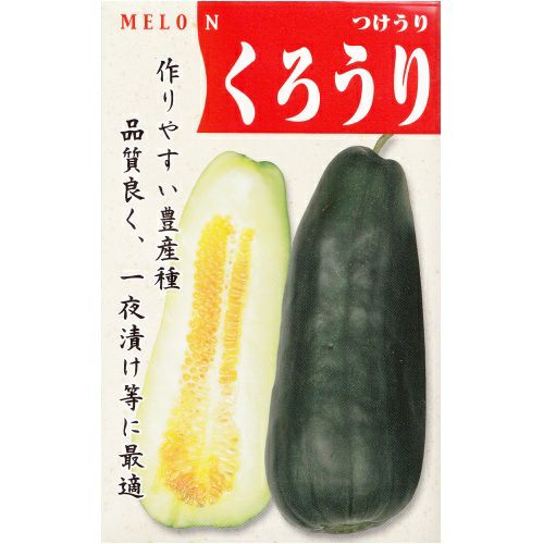 在来固定種野菜の種「沼目つけうり〔漬物用〕」1.5ml〔約30粒〕畑懐〔はふう〕
