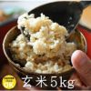 【平成30年度産】長野県産れんげ米玄米・5kg