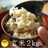 【平成30年度産】長野県産れんげ米玄米・2kg