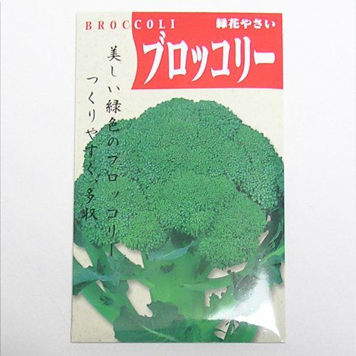 在来固定種野菜の種「ドシコブロッコリー」2.5ml〔約360粒〕畑懐〔はふう〕