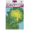 在来固定種野菜の種「エンダイブ〔グリーンカールド〕」1.5ml〔約300粒〕畑懐〔はふう〕