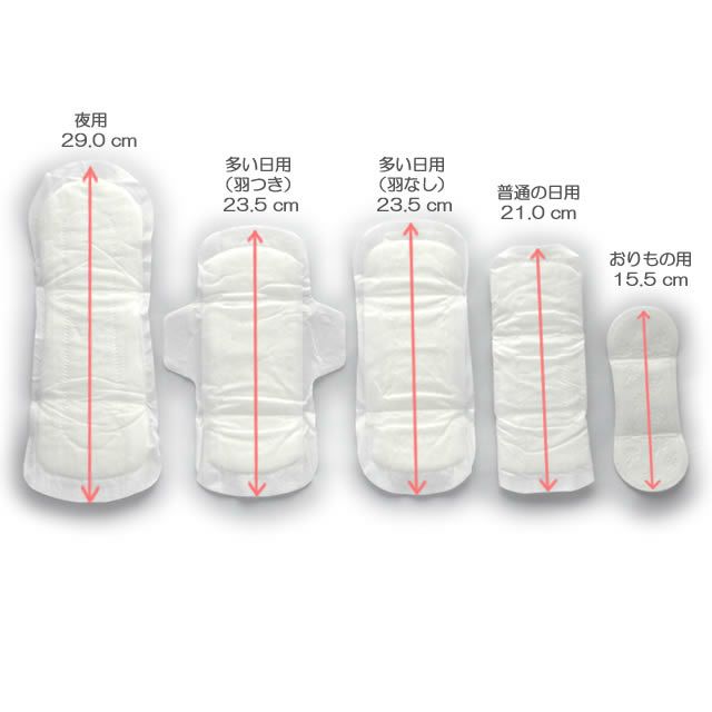 ナチュラムーン生理用ナプキン普通の日用〔羽なし〕24個入