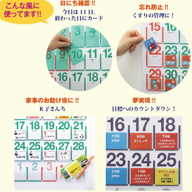 ビニールポケットカレンダー2026年〔令和8年〕版