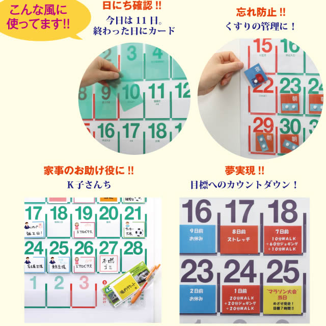 ビニールポケットカレンダー2026年〔令和8年〕版