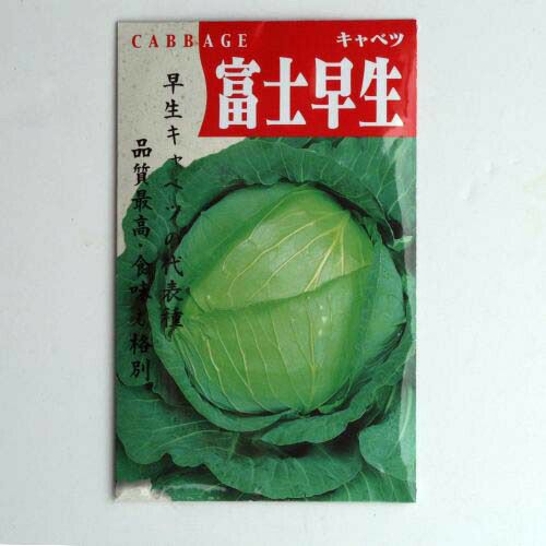 在来固定種野菜の種「渡辺成功キャベツ」2.5ml〔約430粒〕畑懐〔はふう〕