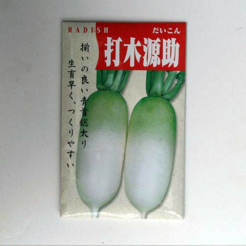 【秋蒔き野菜】在来固定種野菜の種「打木源助大根」13ml〔約580粒〕畑懐〔はふう〕