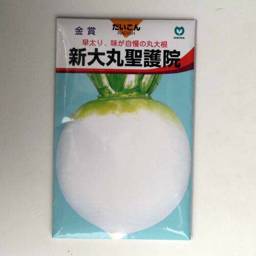 【秋蒔き野菜】在来固定種野菜の種「新大丸聖護院大根」13ml〔約580粒〕畑懐〔はふう〕